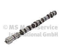 Arbre à cames Acier 50007689 KOLBENSCHMIDT pour KIA HYUNDAI