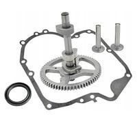 Arbre à cames compatible avec Briggs & Stratton 10,5-19 PS modèles 21 28 31 33 INTEK OHV AVS