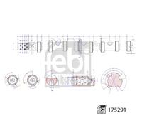 Arbre à cames Côté d'admission 175291 FEBI BILSTEIN pour VW SEAT AUDI SKODA