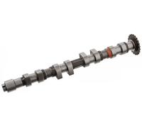 Arbre à cames Côté d'échappement 33013 FEBI BILSTEIN pour AUDI VW SEAT SKODA