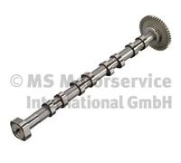 Arbre à cames Côté d'échappement 50007635 KOLBENSCHMIDT pour SKODA SEAT VW AUDI