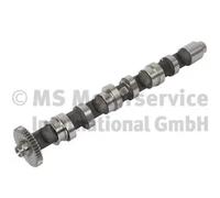 Arbre à cames Côté d'échappement 50007676 KOLBENSCHMIDT pour SEAT SKODA VW