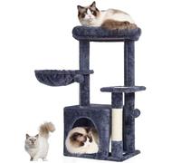 Arbre à Chat 80 cm Tour à Chat d'intérieur avec griffoir sisal Gris foncé