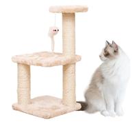 Arbre à Chat, Arbre à Chat pour Chats d'intérieur Base d'assiette carrée