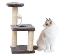 Arbre à Chat pour Chats d'intérieur, Arbre à Chat Moderne Base d'assiette