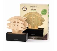Arbre à parfum et recharge Cèdre naturel