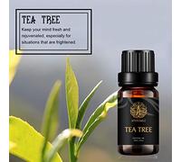 Arbre à thé d'huile essentielle de Aromatherapy, parfum d'arbre à thé d'huile essentielle (0,33 oz - 10 ml), huiles de parfum 100% pures d'arbre à thé pour diffuseur, humidificateur, massage, maison
