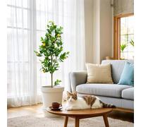 Arbre Artificiel Citronnier 150 cm/180 cm - Grande Plante Artificielle Citronnier avec Fruits Réalistes, pour La Décoration De Votre Bureau à Domicile