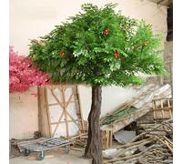 Arbre Artificiel Durable de Litchi - Décoration en Fausse Fruit résistante aux UV pour Usage intérieur/extérieur, sans décoloration, beauté Durable 2.5mx2m