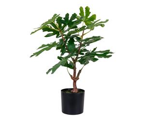 Arbre artificiel House Nordic Fig Vert 40x40x53 cm