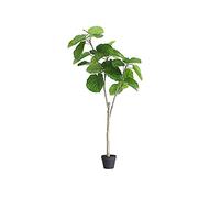 Arbre Artificiel Simulation Plante Tilleul Artificiel Nouvelle Feuille Ficus Plante en Pot Magasin de Vêtements Décoration Ornements Décorer (70 cm)