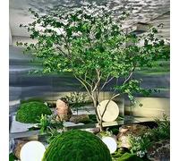 Arbre artificiel, sonnerie japonaise simulée, fenêtre cheval ivre bois de style nordique décoration extérieure intérieure grand faux arbre aménagement paysager des plantes vertes h 0,8 m / 2,6 pieds