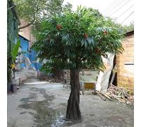 Arbre Artificiel Tropical à litchis - Fruits Rouges vifs et Feuillage Vert Luxuriant, idéal pour Les fêtes hawaïennes, Les Bars tiki et la décoration de terrasse 1.5mx1.2m