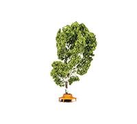 Arbre (avec Banc Circulaire)
