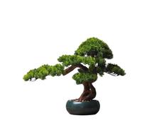 Arbre bonsaï Artificiel Sapin en Pot Vert décoratif for Salon, Plantes en Pot, Bureau pour Bureau à Domicile