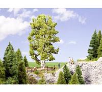 Arbre bouleau NOCH 0021641 190 mm 1 pc(s)