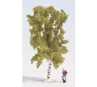 Noch Arbre bouleau 28520 – 60 mm – 1 pce pour modélisme ferroviaire