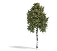 Arbre De Bouleau 170Mm Fin D'Été HO/OO Échelle Busch 3783