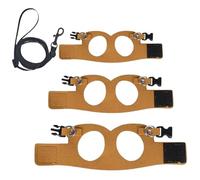 Arbre de dragon barbu - Gilet en cuir réglable, équipement d'entraînement pour petits animaux - Laisse de randonnée légère et portable - Sangle de contrôle des animaux en plein air - Costume de lézard