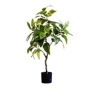 Arbre de Laurier Artificiel d'intérieur de 120 cm de Haut, Faux Arbre, Grand Arbre de Simulation réaliste pour décoration de Plantes artificielles intérieures et extérieures