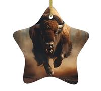 Arbre de Noël en céramique à suspendre en forme d'étoile HJFCZH Bison Run Décoration centres commerciaux, supermarchés, magasins