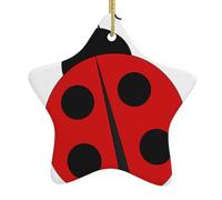 Arbre de Noël en céramique à suspendre en forme d'étoile, motif coccinelle, décoration de Noël, souvenir
