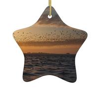 Arbre de Noël en céramique à suspendre en forme d'étoile WHJSHOP Oiseaux Fly South Motif pour décoration d'intérieur