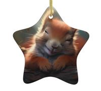Arbre de Noël en céramique à suspendre en forme d'étoile WHJSHOP Petit écureuil dans un rêve avec cordon métallique perforé et doré