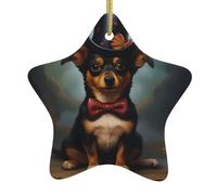 Arbre de Noël en céramique à suspendre en forme d'étoile WHJSSF Chiot Magicien Image peut ajouter une touche romantique aux festivals ou fêtes