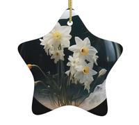 Arbre de Noël en céramique à suspendre en forme d'étoile WHJSSF Narcisse dans des bulles, décoration de photos, centres commerciaux, supermarchés, magasins