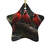 Arbre de Noël en céramique à suspendre en forme d'étoile WHJSSF rouge oiseaux faune sauvage image décoration centres commerciaux, supermarchés, magasins