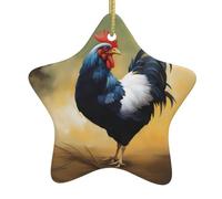 Arbre de Noël en céramique suspendu étoile pendentif Yyhwhjde Cartoon Art Poulet Prints Décoration Malls, Supermarchés, Magasins
