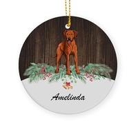 Arbre De Noël Ornements Chien De Rhodésie À Crête Dorsale Céramique À Suspendre Personnalisable Pendentifs Décoration pour Fête du Nouvel Maison Enfant 7.3 Cm