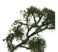 Arbre De Train Modèle Sycamore, Fournitures De Diorama Miniatures, Vert, Échelle 1/150