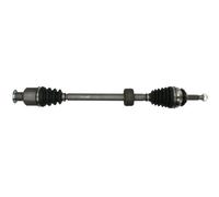 Arbre de transmission PASCAL G2E004PC