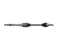 Arbre de transmission PASCAL G2E008PC