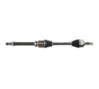 Arbre de transmission PASCAL G2E020PC