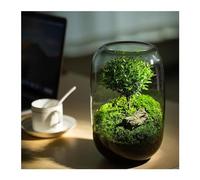 Arbre de vie Plante ornementale Container en verre LED Grow Light Set, peut élever des plantes, des petits animaux, cadeau pour les amateurs de plantation, cadeau de pendaison de crémaillère.(Grey,Hav