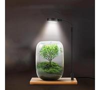 Arbre de vie Plante ornementale Verre Container LED Grow Light Set, Représenter la paix et le bon sens des décorations de maison, des cadeaux de vacances, des cadeaux de pendaison de crémaillère.(Grey