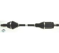 Arbre D'Entraînement 667Mm Avec Écrou SPIDAN Pour BMW X5 (F15)