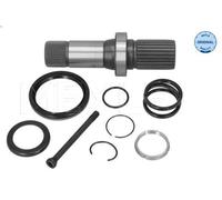 Arbre d'entraînement, différentiel MEYLE 100 498 0252 pour MULTIVAN T5 2 2010-
