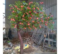 Arbre d'oranger simulé, Arbre de Kaki simulé, Combinaison de Plantes Vertes artificielles pour intérieur et extérieur, décoration pour fenêtre, aménagement paysager, Arbre factice, Plante de Sol 4M