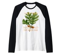 Arbre du Territoire du Maryland : Le chêne Blanc Manche Raglan