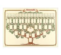 Arbre généalogique 'arbre esquissé', 70 x 50 cm