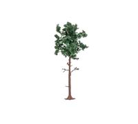 Arbre Grand Pin