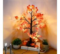 Arbre lumineux LED, 24 LED, en forme de feuille d'érable, blanc chaud, pour l'intérieur, lumière d'ambiance, câble USB/AA, décoration de table d'automne, décoration de Noël, feuilles d'érable,