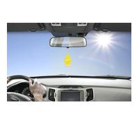 Dsodorisant Arbre Magique Vanille