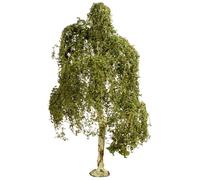 Arbre modélisme - NOCH - 20120 - Bouleau verruqueux - 180 mm - 1 pc