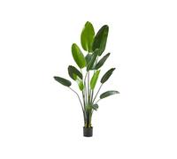 tectake® Plante Artificielle Oiseau du Paradis 180cm Fausse Plante Interieur Arbre Vert Arbre Artificiel Décoration Maison idéal pour Décoration Salon Chambre Cuisine Dressing Chambre Enfant Bureau
