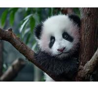 Arbre Peinture Numero Adulte, Panda Peinture Numero Enfant, Loisirs Créatifs Adultes Kits, Paint by Numbers avec Pinceaux et Pigment Acryliques, Cadeaux pour Filles, Decoration Maison, 90x60cm 0-9090